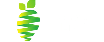 Mango Multan